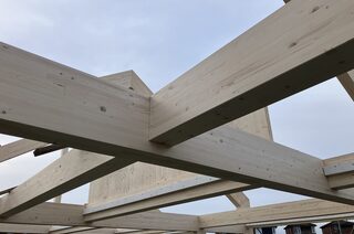 IMG_1799