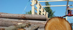 hout GL