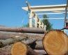 hout GL